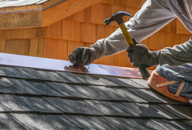 Best Chimney Flashing Repair  in Palmetto Bay, FL