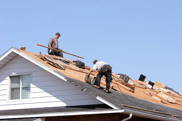 Best Gutter Installation and Repair  in Palmetto Bay, FL