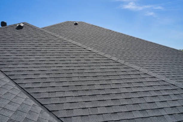 Best Roof Moss and Algae Removal  in Palmetto Bay, FL